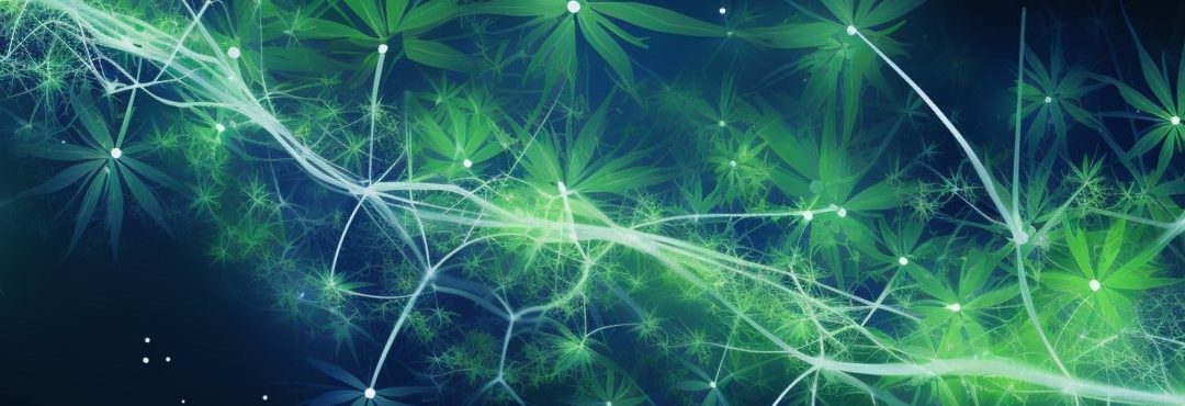 CBD Uncovered: 5 Intriguing Insights for a Healthier You